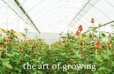 Vegetable Export Enterprises