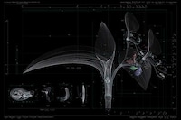 Exhaustive Lifeform Blueprints Image 2