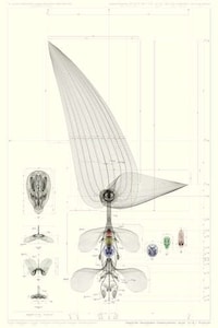 Exhaustive Lifeform Blueprints Image 4