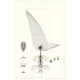 Exhaustive Lifeform Blueprints Image 4