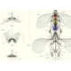 Exhaustive Lifeform Blueprints Image 5