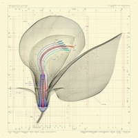 Exhaustive Lifeform Blueprints Image 8