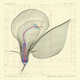 Exhaustive Lifeform Blueprints Image 8