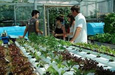 26 Urban Farming Projects