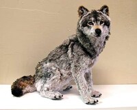 Lifelike Pipe Cleaner Animals Image 2