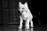 Lifelike Pipe Cleaner Animals Image 8