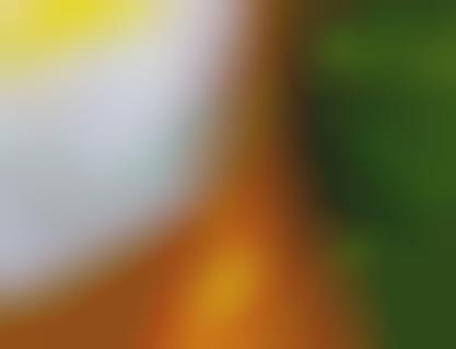 Fresh Produce Papers