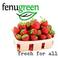 Fresh Produce Papers Image 4