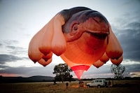 Animalistic Hot Air Balloons Image 2