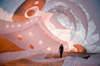 Animalistic Hot Air Balloons Image 6