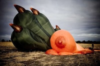 Animalistic Hot Air Balloons Image 7