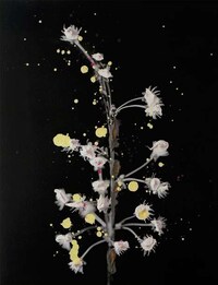 Abstracted Botanical Artworks Image 2
