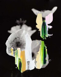 Abstracted Botanical Artworks Image 8