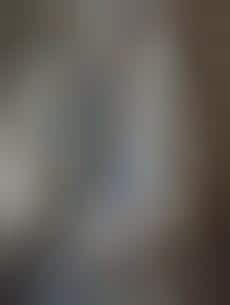 Brooding Forest Photography : forest photography