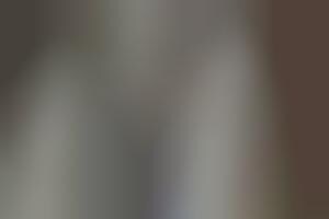 Brooding Forest Photography : forest photography