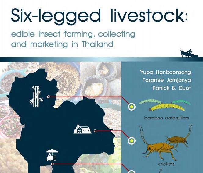Edible Insect Guides