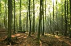 Fuel-Generating Artificial Forests