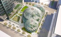 Arboreal Tech Company HQs Image 4