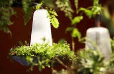 Enchanted Forest Lamps