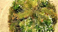 Record-Breaking Micro Parks Image 5