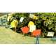 Record-Breaking Micro Parks Image 6