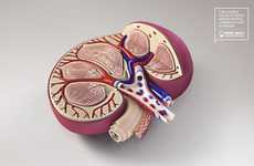 Anatomical Accident Ads