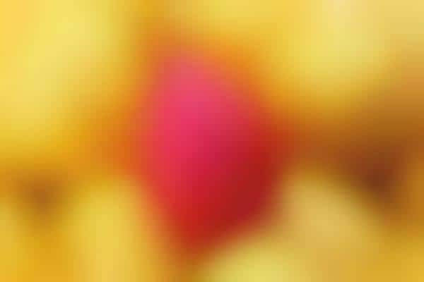 Fruit-Inspired Pleasure Toys