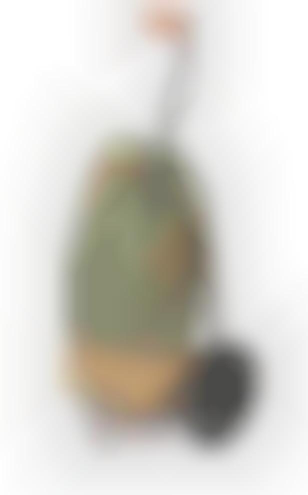 rolling grocery tote