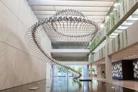Colossal Metal Snake Sculptures Image 2