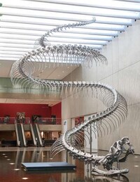 Colossal Metal Snake Sculptures Image 4
