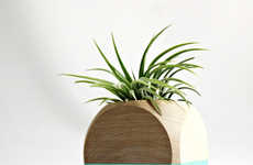 Colorblocked Tillandsia Holder