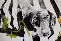 DIY Stitched Yarn Photography Image 6