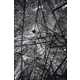 Shimmering Aluminum Mountain Art Image 5