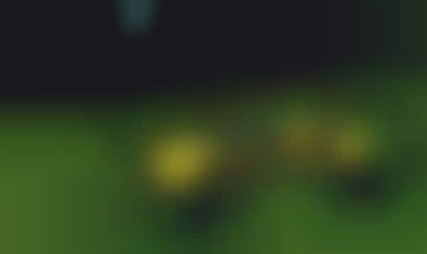 remote control things