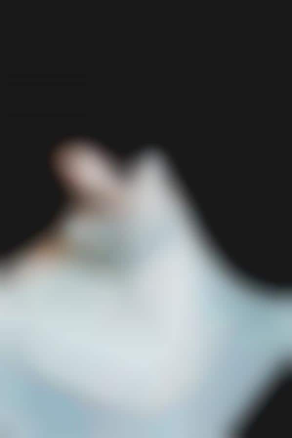 Elegant Ballet-Inspired Photography