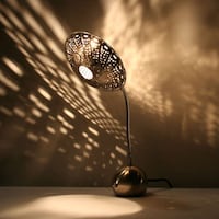 Shadow-Casting Desk Lamps Image 2