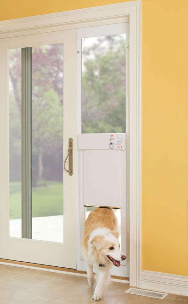 Doggy Doorway Additions