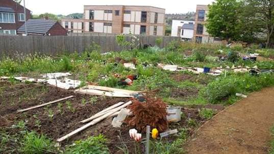 Straw-Built Community Homes