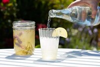 Lavender Soda Recipes Image 5