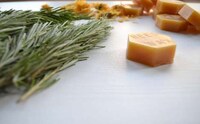 DIY Natural Bug Repellent Image 3