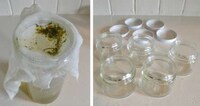 DIY Natural Bug Repellent Image 7