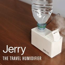30 Humidifier Designs