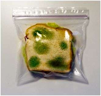 18 Questionably Packaged Treats