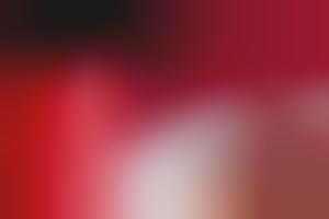 Cannibal Chianti Collections : Silence of the Lambs