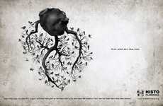 Bird-Infested Organ Ads