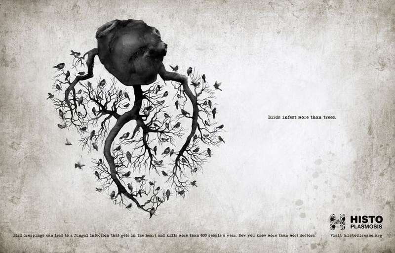 Bird-Infested Organ Ads