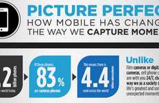 Photographic Evolution Infographics
