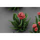 Minuscule Blooming Nanoflowers Image 4