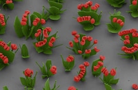 Minuscule Blooming Nanoflowers Image 7