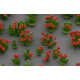 Minuscule Blooming Nanoflowers Image 7